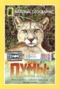 Puma: Lion of the Andes