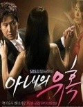 Anaeui Yuhog  (serial 2008-2009) - movie with Bo-ra Geum.