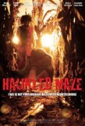 Haunted Maze - movie with Charles Hoyes.