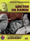 Tsvetok na kamne film from Sergey Paradjanov filmography.