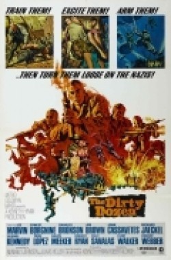 The Dirty Dozen film from Robert Aldrich filmography.