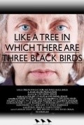 Film Like a Tree in Which There Are Three Black Birds.