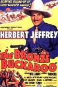 The Bronze Buckaroo is the best movie in Lucius Brooks filmography.