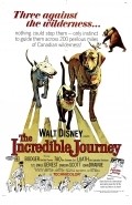 The Incredible Journey film from Fletcher Markle filmography.