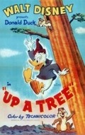 Animation movie Up a Tree.