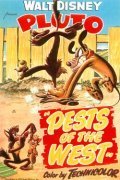 Animation movie Pests of the West.