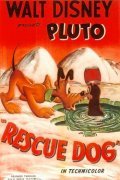 Animation movie Rescue Dog.
