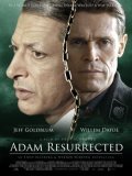 Adam Resurrected film from Paul Schrader filmography.