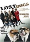 Lost Dogs is the best movie in Jeremy Edwards filmography.
