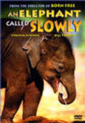 Film An Elephant Called Slowly.