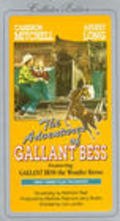 Adventures of Gallant Bess - movie with Cliff Clark.