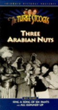 Three Arabian Nuts film from Edward Bernds filmography.