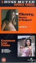 Common Law Cabin film from Russ Meyer filmography.